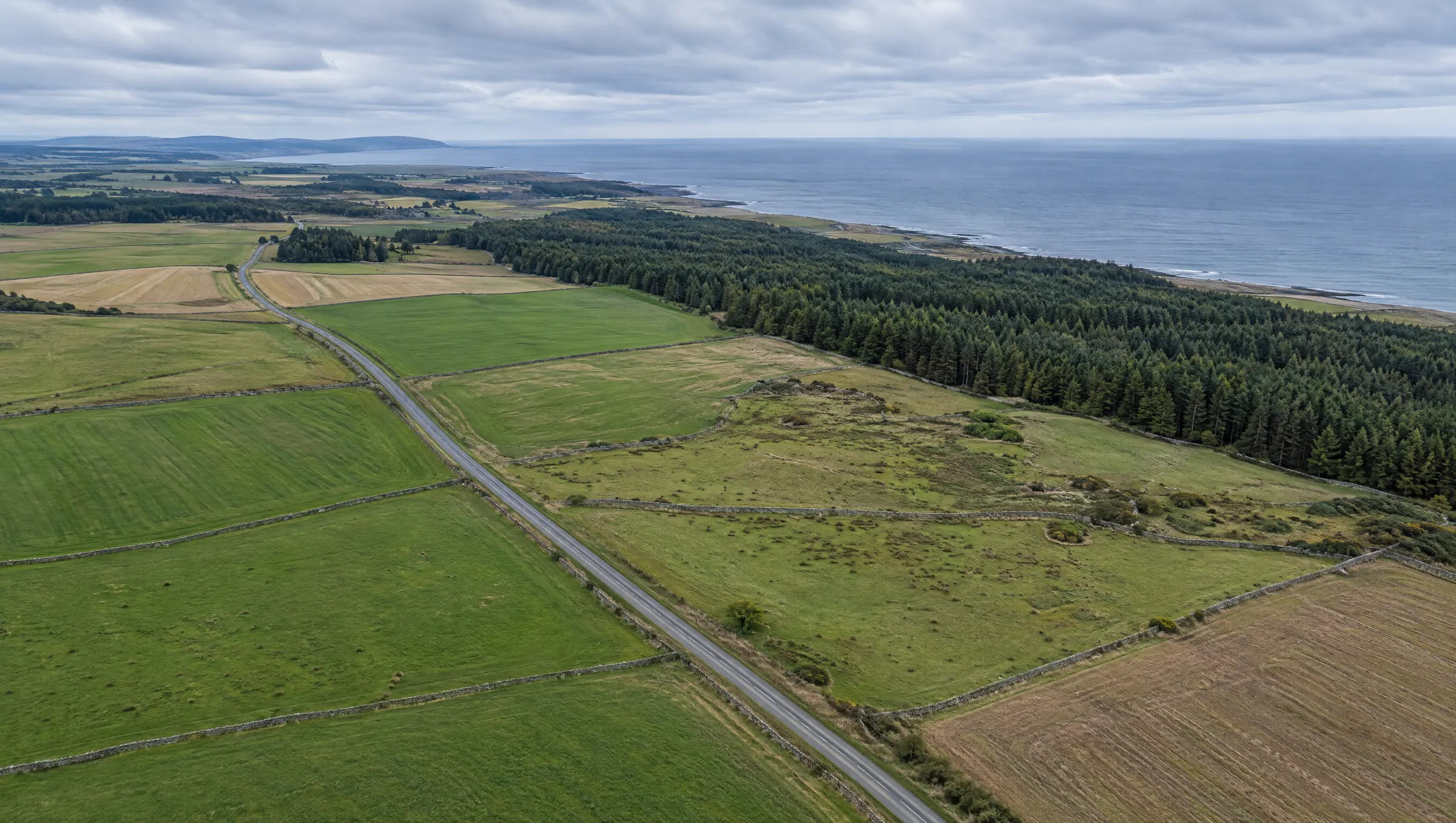 Farmland and forest beside the Moray Firth coast